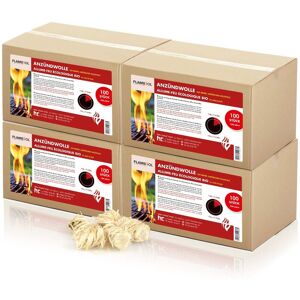 Höfer Chemie GmbH 4x 100 pcs. Pelotes de laine de