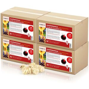 Höfer Chemie GmbH 320 Pelotes de laine de bois imprégnées,